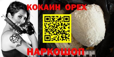 мдпв Гатчина
