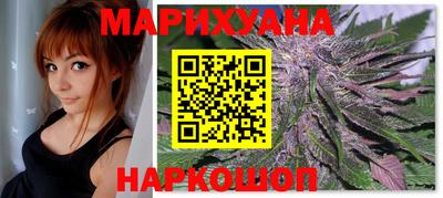 мдпв Гатчина