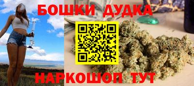 мдпв Гатчина