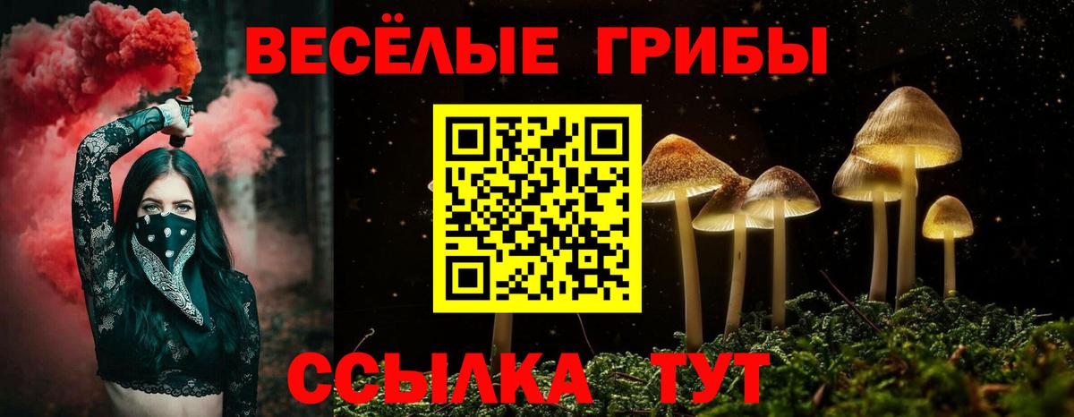 Москва  Псилоцибиновые грибы мицелий  Вход с VPN 
