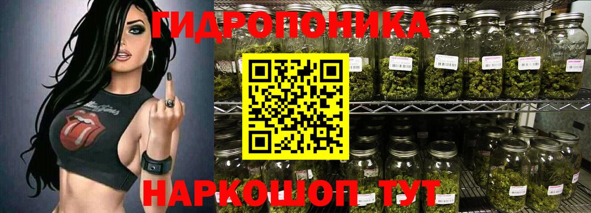 Канабис SATIVA & INDICA Москва